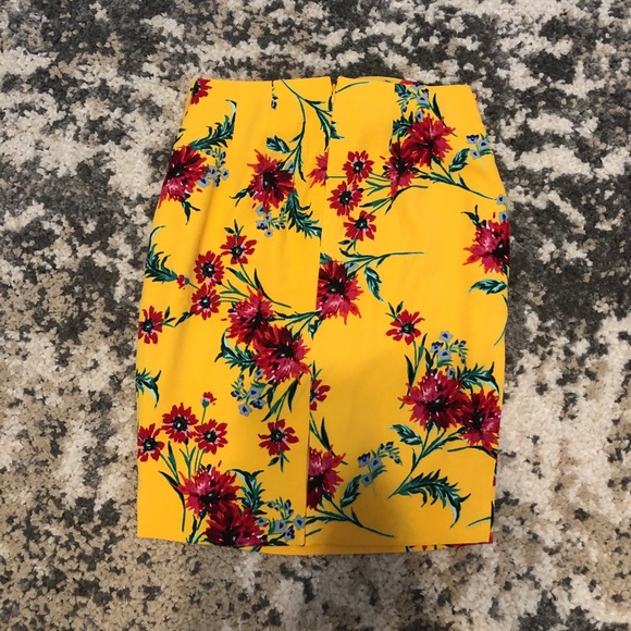 Express Skirt - Picture 3 of 4